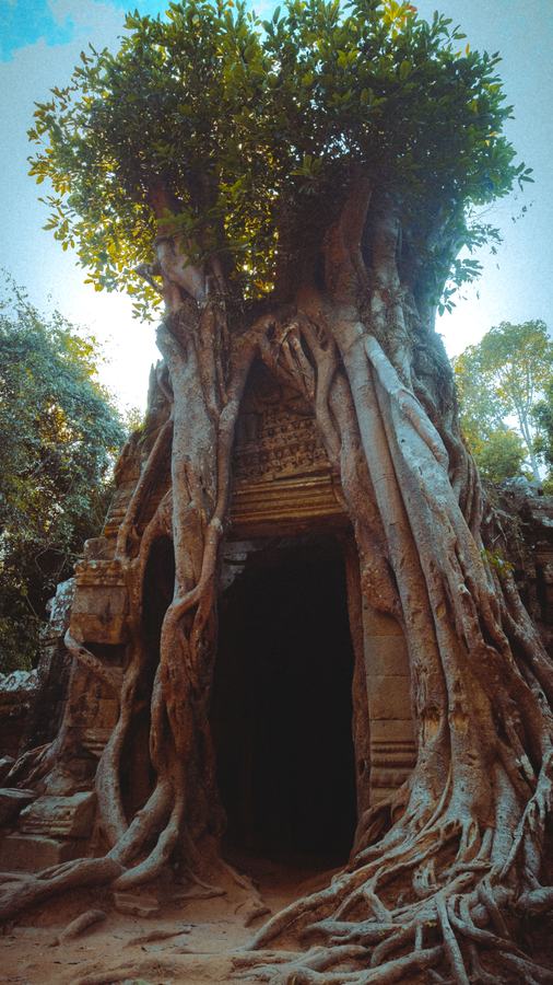 Photograph by Léo Barcet, Cambodia