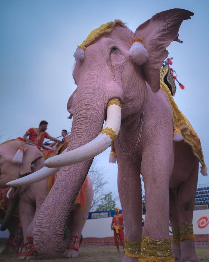 Photograph by Léo Barcet, Thailand
